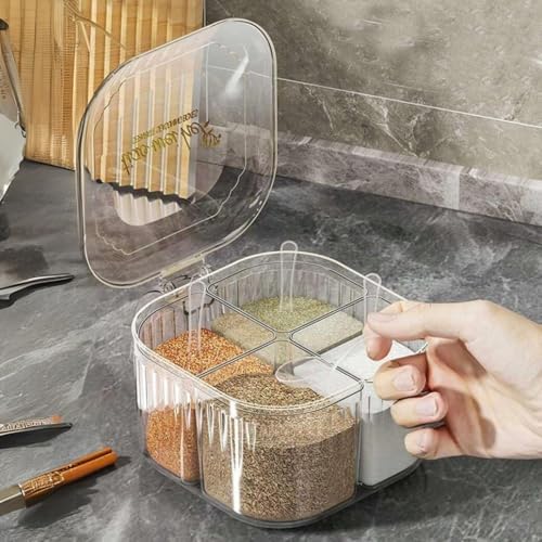 5 Section Transparent Spice Box